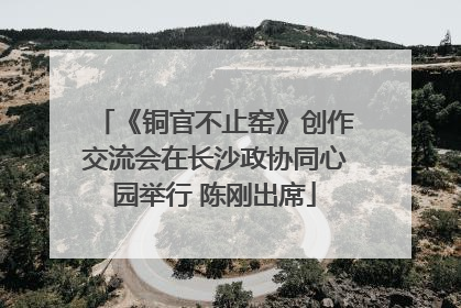 《铜官不止窑》创作交流会在长沙政协同心园举行 陈刚出席