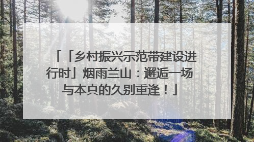 「乡村振兴示范带建设进行时」烟雨兰山：邂逅一场与本真的久别重逢！