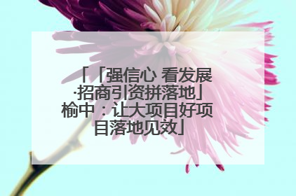 「强信心 看发展·招商引资拼落地」榆中：让大项目好项目落地见效