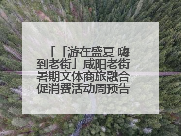 「游在盛夏 嗨到老街」咸阳老街暑期文体商旅融合促消费活动周预告来了！