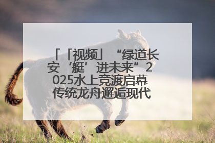 「视频」“绿道长安‘艇’进未来”2025水上竞渡启幕 传统龙舟邂逅现代赛艇演绎文旅新篇