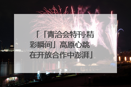 「青洽会特刊·精彩瞬间」高原心跳 在开放合作中澎湃
