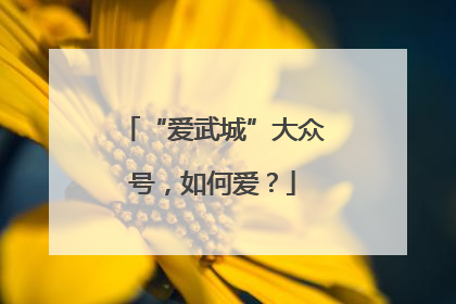 “爱武城”大众号，如何爱？
