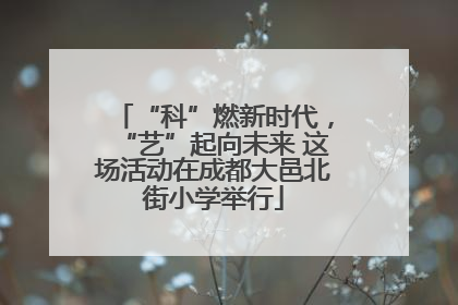 “科”燃新时代，“艺”起向未来 这场活动在成都大邑北街小学举行