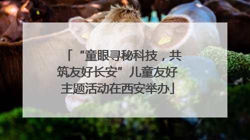 “童眼寻秘科技，共筑友好长安”儿童友好主题活动在西安举办