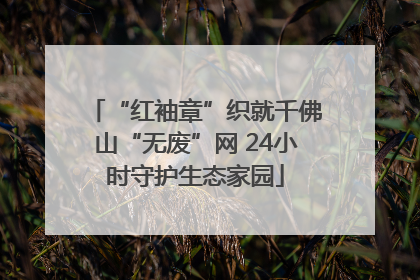 “红袖章”织就千佛山“无废”网 24小时守护生态家园