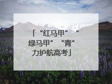 “红马甲”“绿马甲”“青”力护航高考
