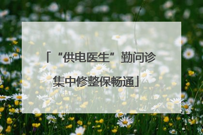 “供电医生”勤问诊 集中修整保畅通