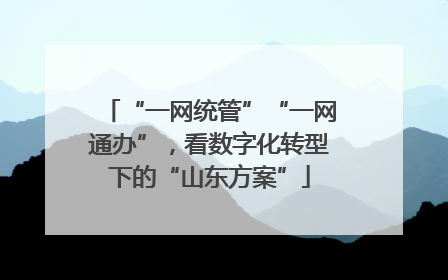 “一网统管”“一网通办”，看数字化转型下的“山东方案”