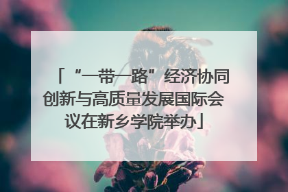 “一带一路”经济协同创新与高质量发展国际会议在新乡学院举办