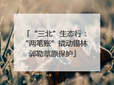 “三北”生态行：“两笔账”撬动锡林郭勒草原保护