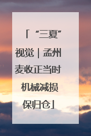 “三夏”视觉｜孟州麦收正当时 机械减损保归仓