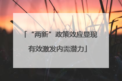 “两新”政策效应显现 有效激发内需潜力