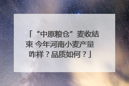 “中原粮仓”麦收结束 今年河南小麦产量咋样？品质如何？