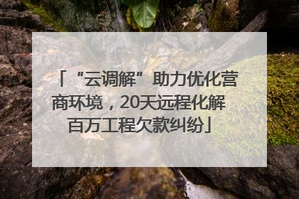 “云调解”助力优化营商环境，20天远程化解百万工程欠款纠纷