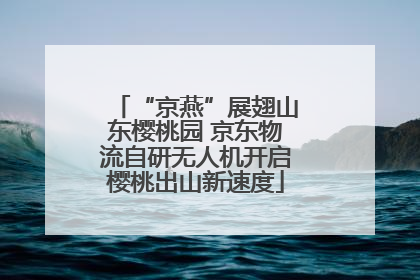 “京燕”展翅山东樱桃园 京东物流自研无人机开启樱桃出山新速度
