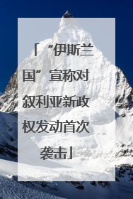 “伊斯兰国”宣称对叙利亚新政权发动首次袭击