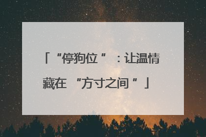 “停狗位 ”：让温情藏在 “方寸之间 ”
