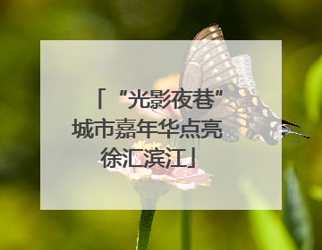 “光影夜巷”城市嘉年华点亮徐汇滨江