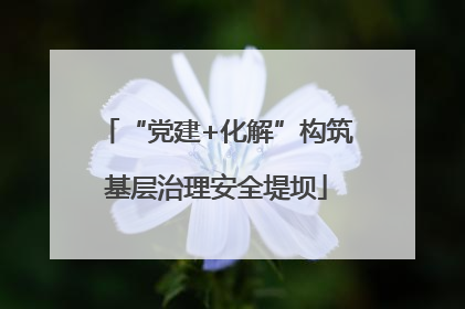 “党建+化解”构筑基层治理安全堤坝