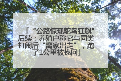 “公路惊现鸵鸟狂飙”后续：养殖户称它与同类打闹后“离家出走”，跑了1公里被找回