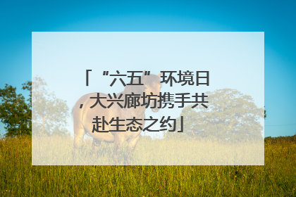 “六五”环境日，大兴廊坊携手共赴生态之约