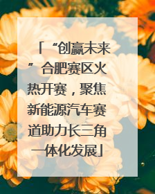 “创赢未来”合肥赛区火热开赛，聚焦新能源汽车赛道助力长三角一体化发展