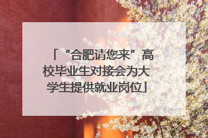 “合肥请您来”高校毕业生对接会为大学生提供就业岗位