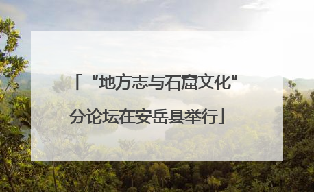 “地方志与石窟文化”分论坛在安岳县举行