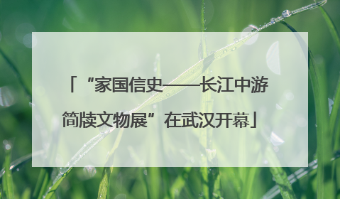 “家国信史——长江中游简牍文物展”在武汉开幕