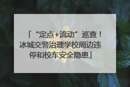 “定点+流动”巡查！冰城交警治理学校周边违停和校车安全隐患