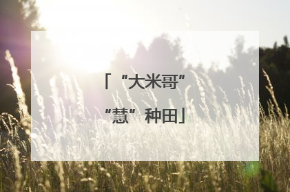 “大米哥”“慧”种田