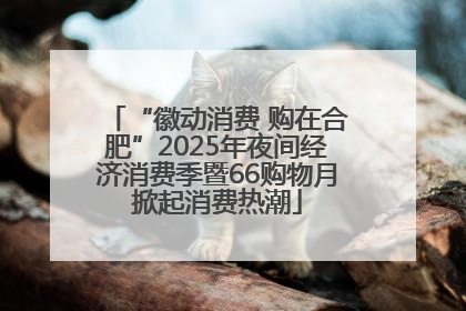 “徽动消费 购在合肥”2025年夜间经济消费季暨66购物月掀起消费热潮