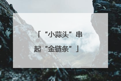 “小蒜头”串起“金链条”