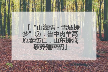 “山海情・雪域援梦”②：鲁中肉羊高原零伤亡，山东援藏破养殖密码