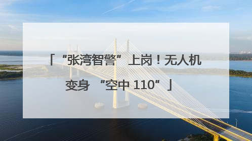 “张湾智警”上岗！无人机变身 “空中 110”