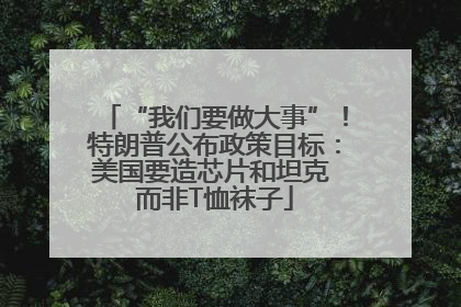 “我们要做大事”！特朗普公布政策目标：美国要造芯片和坦克 而非T恤袜子