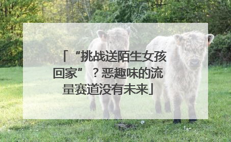 “挑战送陌生女孩回家”？恶趣味的流量赛道没有未来