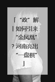 “政”解丨如何引来“金凤凰”？河南亮出“一盘棋”