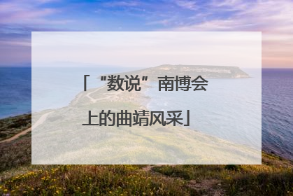 “数说”南博会上的曲靖风采