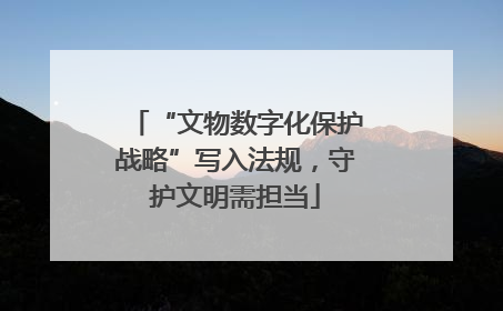 “文物数字化保护战略”写入法规，守护文明需担当