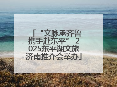 “文脉承齐鲁 携手赴东平” 2025东平湖文旅济南推介会举办