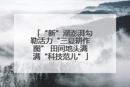 “新”潮澎湃勾勒活力“三夏耕作图” 田间地头满满“科技范儿”