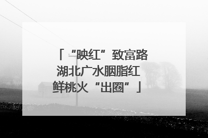 “映红”致富路 湖北广水胭脂红鲜桃火“出圈”
