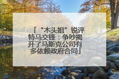 “木头姐”锐评特马交锋：争吵揭开了马斯克公司有多依赖政府合同