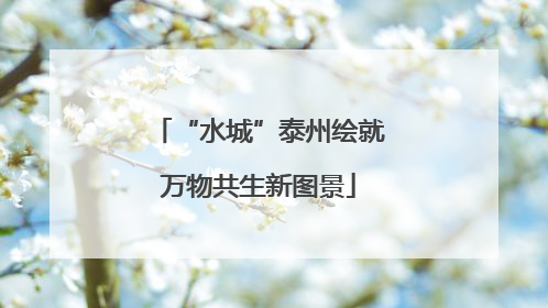 “水城”泰州绘就万物共生新图景