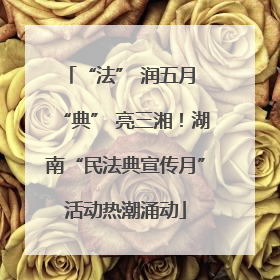 “法” 润五月 “典” 亮三湘！湖南“民法典宣传月”活动热潮涌动