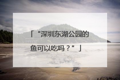 “深圳东湖公园的鱼可以吃吗？”