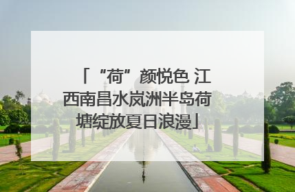 “荷”颜悦色 江西南昌水岚洲半岛荷塘绽放夏日浪漫