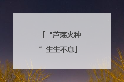 “芦荡火种”生生不息